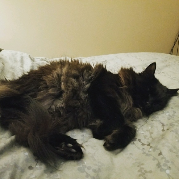 Meet your Posher, Jeni - Picture 1 of 1